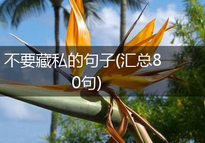 不要藏私的句子(汇总80句)