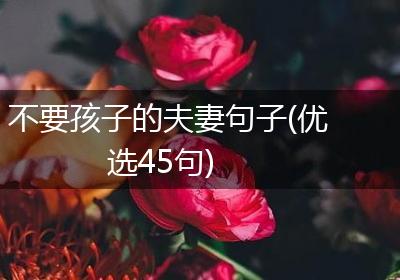 不要孩子的夫妻句子(优选45句)