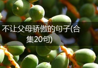 不让父母骄傲的句子(合集20句)