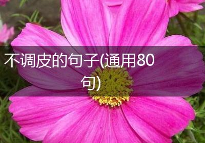 不调皮的句子(通用80句)
