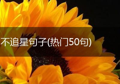 不追星句子(热门50句)