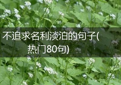 不追求名利淡泊的句子(热门80句)