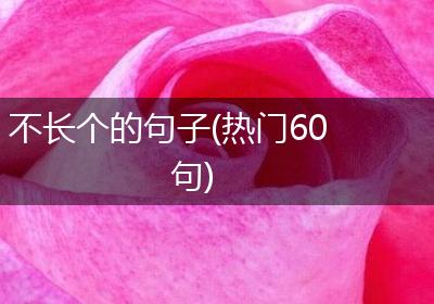 不长个的句子(热门60句)
