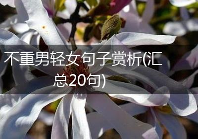 不重男轻女句子赏析(汇总20句)