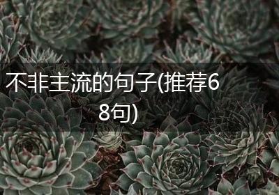 不非主流的句子(推荐68句)