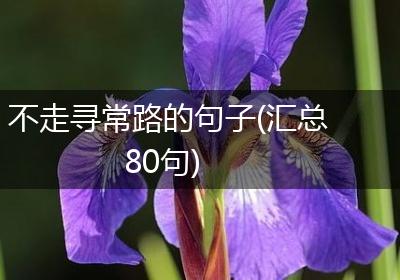 不走寻常路的句子(汇总80句)