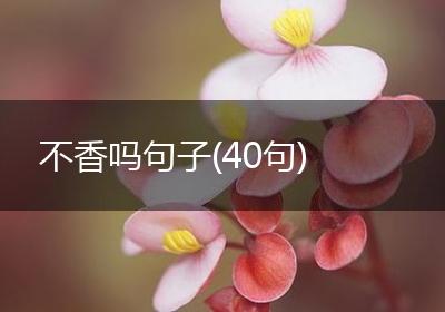 不香吗句子(40句)