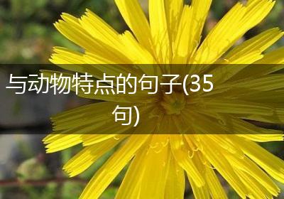 与动物特点的句子(35句)
