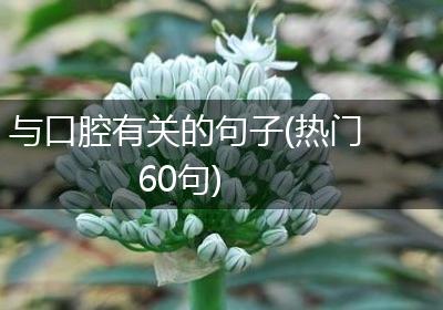 与口腔有关的句子(热门60句)