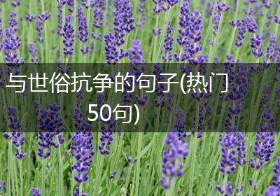 与世俗抗争的句子(热门50句)