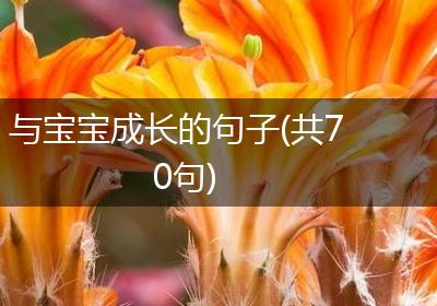 与宝宝成长的句子(共70句)