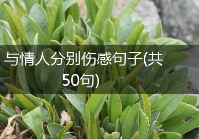 与情人分别伤感句子(共50句)
