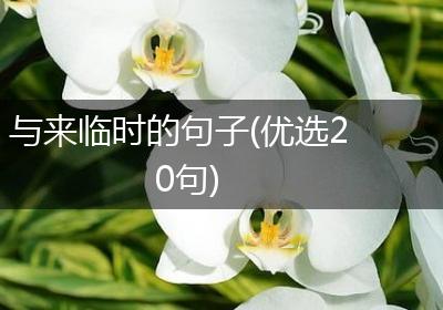 与来临时的句子(优选20句)