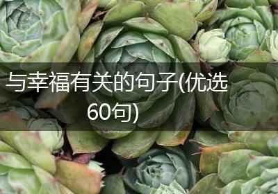 与幸福有关的句子(优选60句)