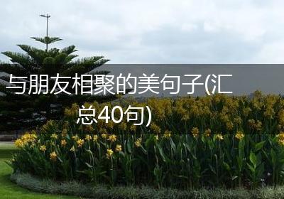与朋友相聚的美句子(汇总40句)