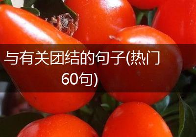 与有关团结的句子(热门60句)