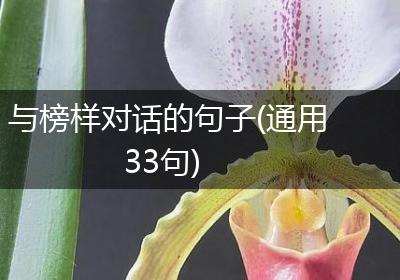 与榜样对话的句子(通用33句)