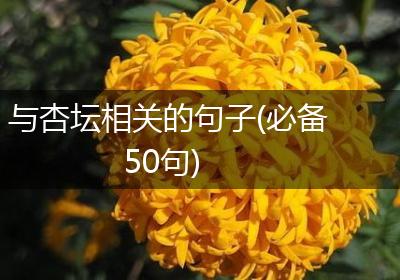 与杏坛相关的句子(必备50句)