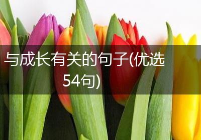 与成长有关的句子(优选54句)