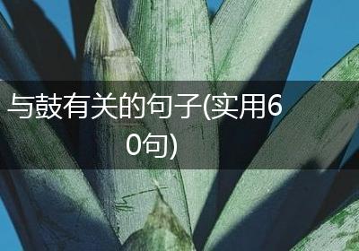 与鼓有关的句子(实用60句)