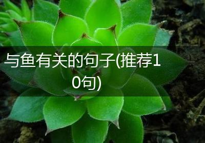 与鱼有关的句子(推荐10句)