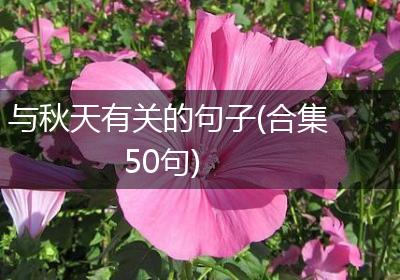 与秋天有关的句子(合集50句)