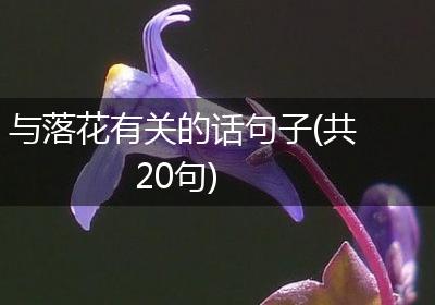 与落花有关的话句子(共20句)