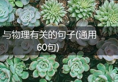 与物理有关的句子(通用60句)