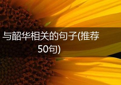 与韶华相关的句子(推荐50句)