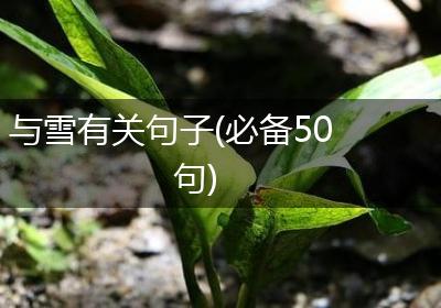与雪有关句子(必备50句)
