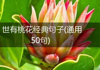 世有桃花经典句子(通用50句)