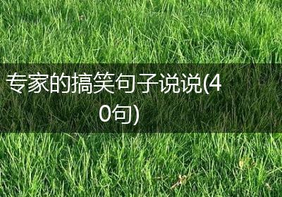 专家的搞笑句子说说(40句)
