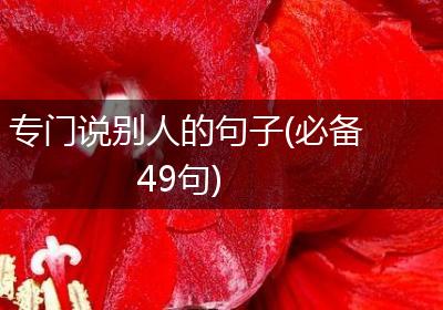 专门说别人的句子(必备49句)
