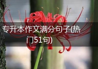 专升本作文满分句子(热门51句)