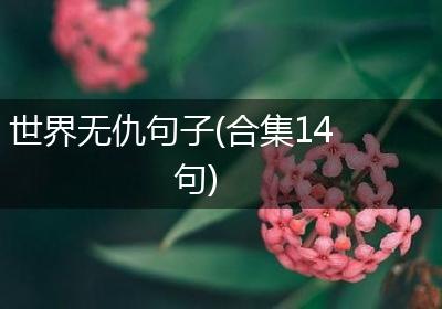 世界无仇句子(合集14句)