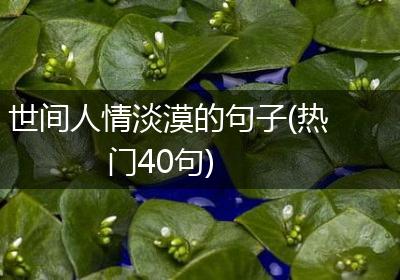 世间人情淡漠的句子(热门40句)