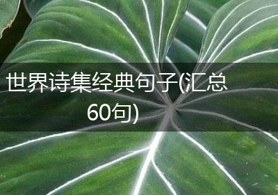世界诗集经典句子(汇总60句)
