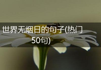 世界无烟日的句子(热门50句)