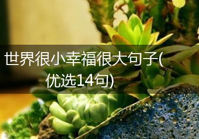 世界很小幸福很大句子(优选14句)