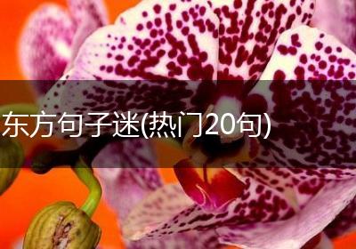 东方句子迷(热门20句)