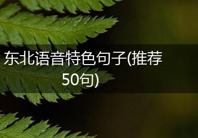 东北语音特色句子(推荐50句)