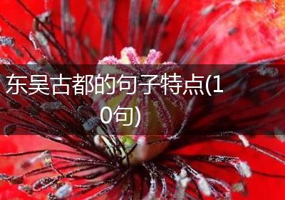 东吴古都的句子特点(10句)