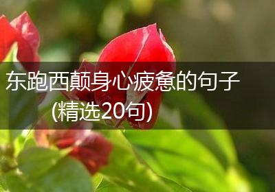 东跑西颠身心疲惫的句子(精选20句)