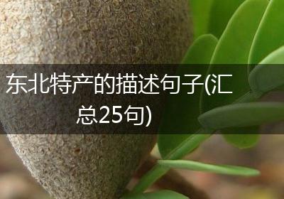 东北特产的描述句子(汇总25句)
