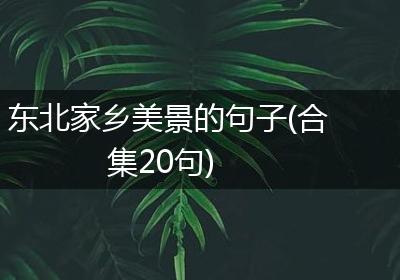 东北家乡美景的句子(合集20句)