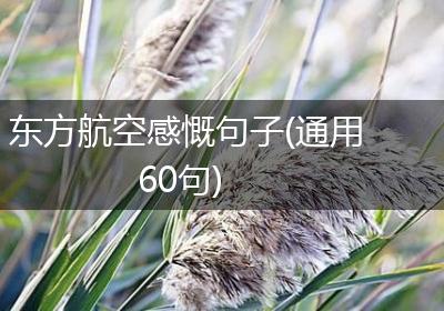 东方航空感慨句子(通用60句)