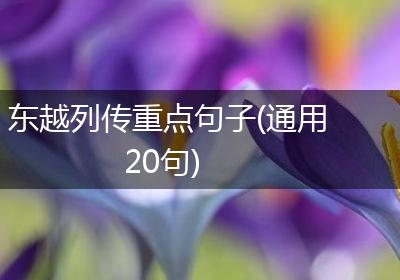 东越列传重点句子(通用20句)