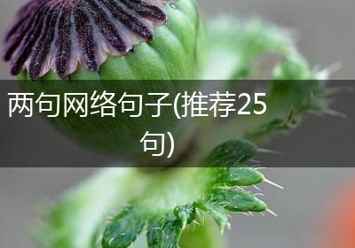 两句网络句子(推荐25句)