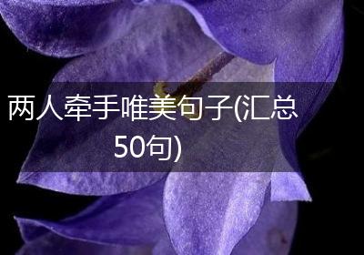 两人牵手唯美句子(汇总50句)