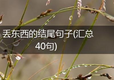 丢东西的结尾句子(汇总40句)